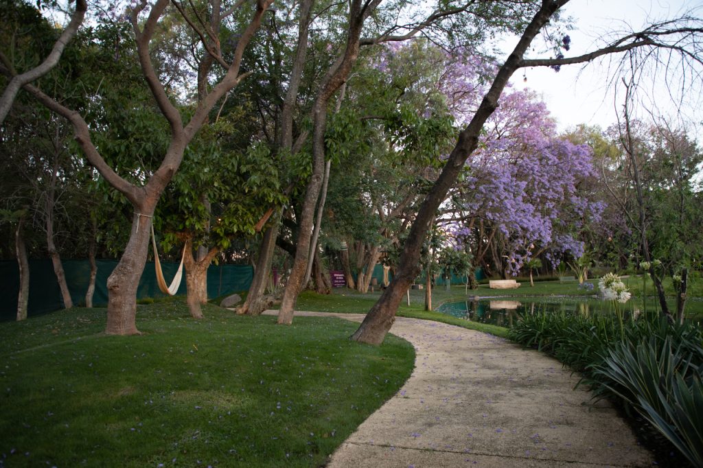 Venta terreno casa departamento el carmen atlixco puebla