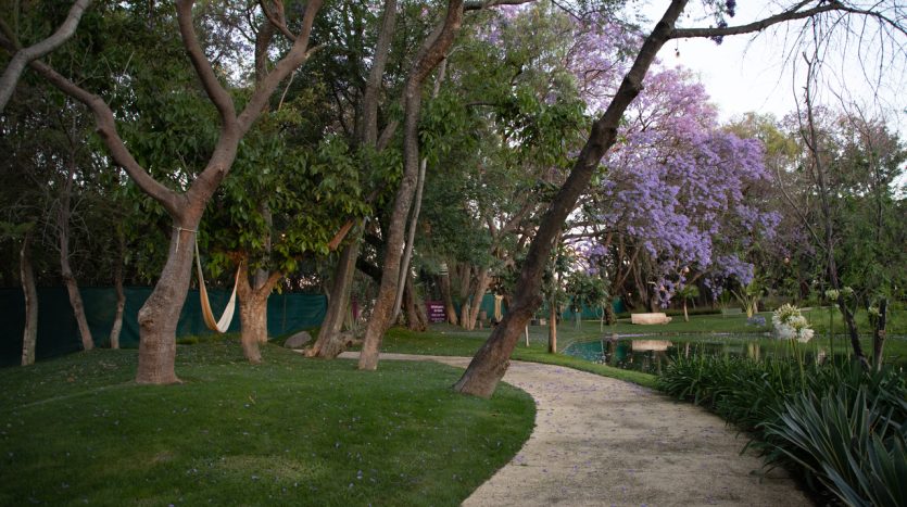 Venta terreno casa departamento el carmen atlixco puebla