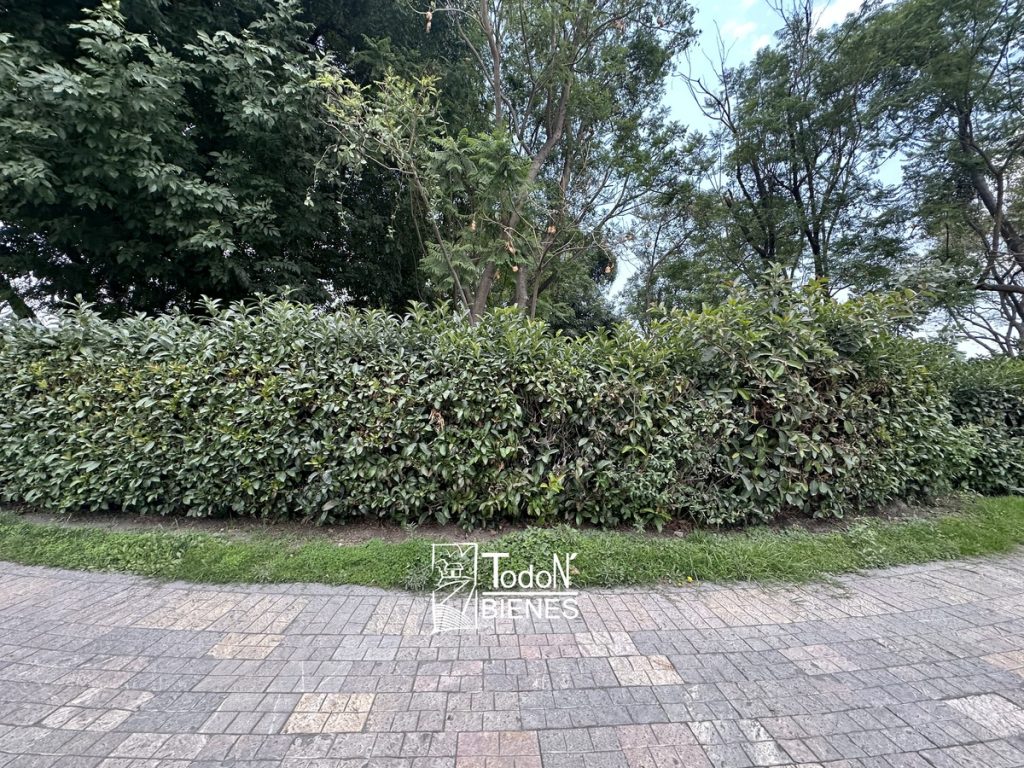 TERRENO VENTA EL CARMEN ATLIXCO puebla