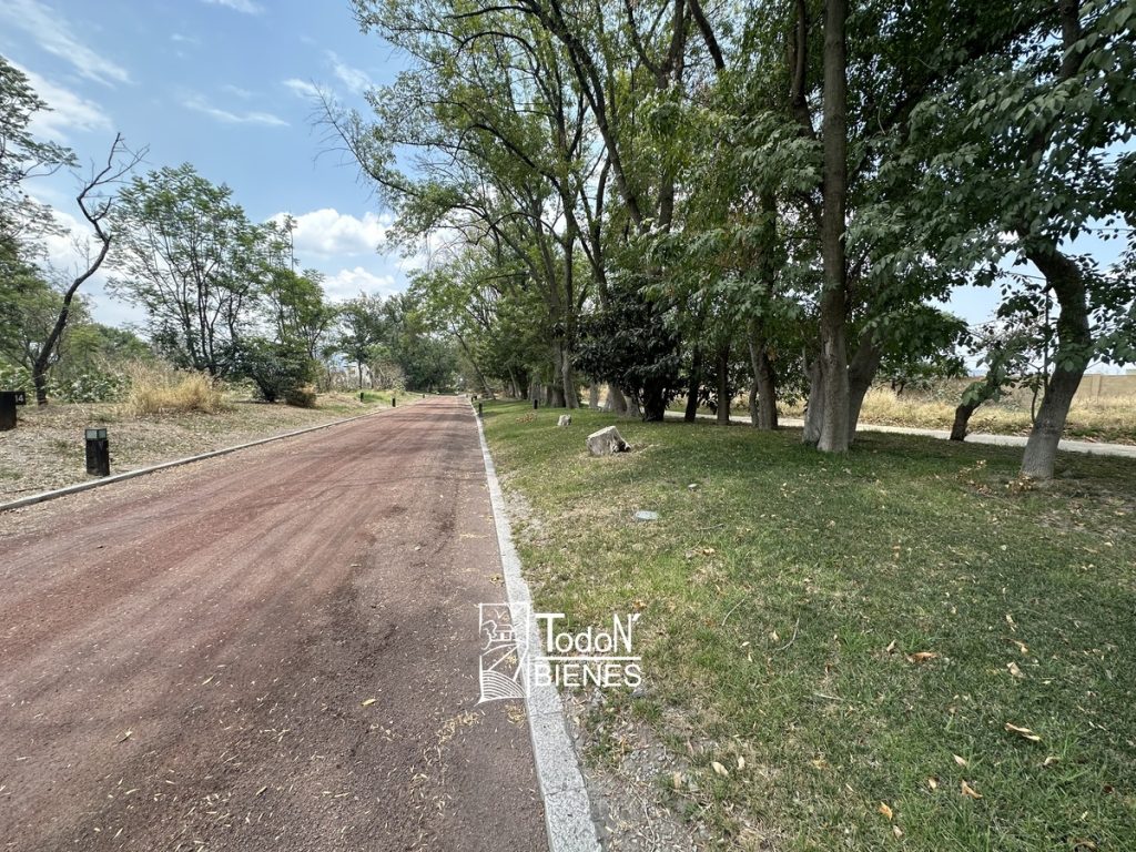 TERRENO VENTA EL CARMEN ATLIXCO puebla