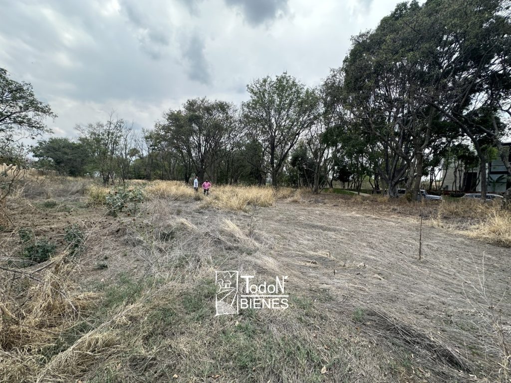 TERRENO VENTA EL CARMEN ATLIXCO puebla