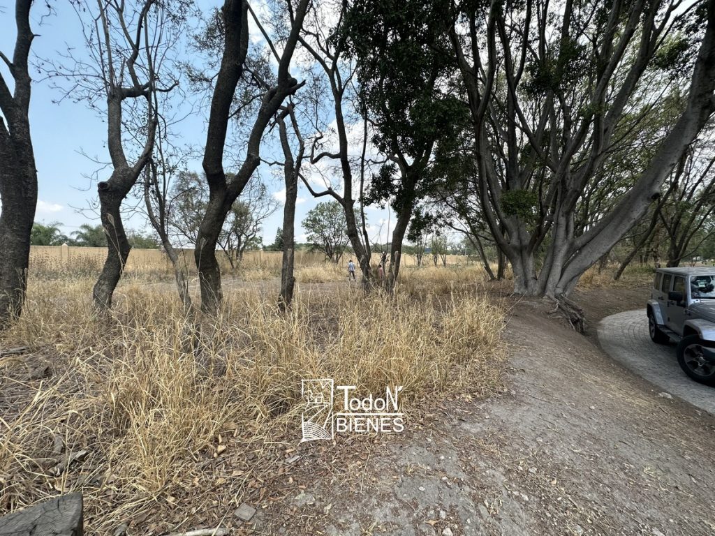 TERRENO VENTA EL CARMEN ATLIXCO puebla