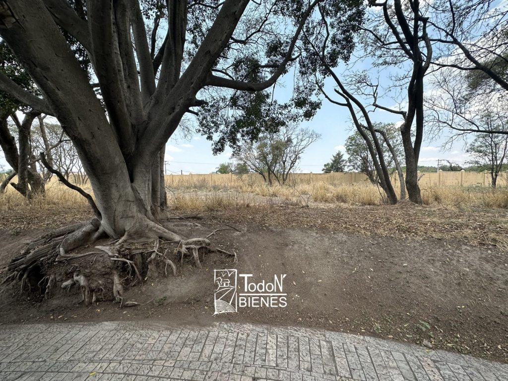 TERRENO VENTA EL CARMEN ATLIXCO puebla