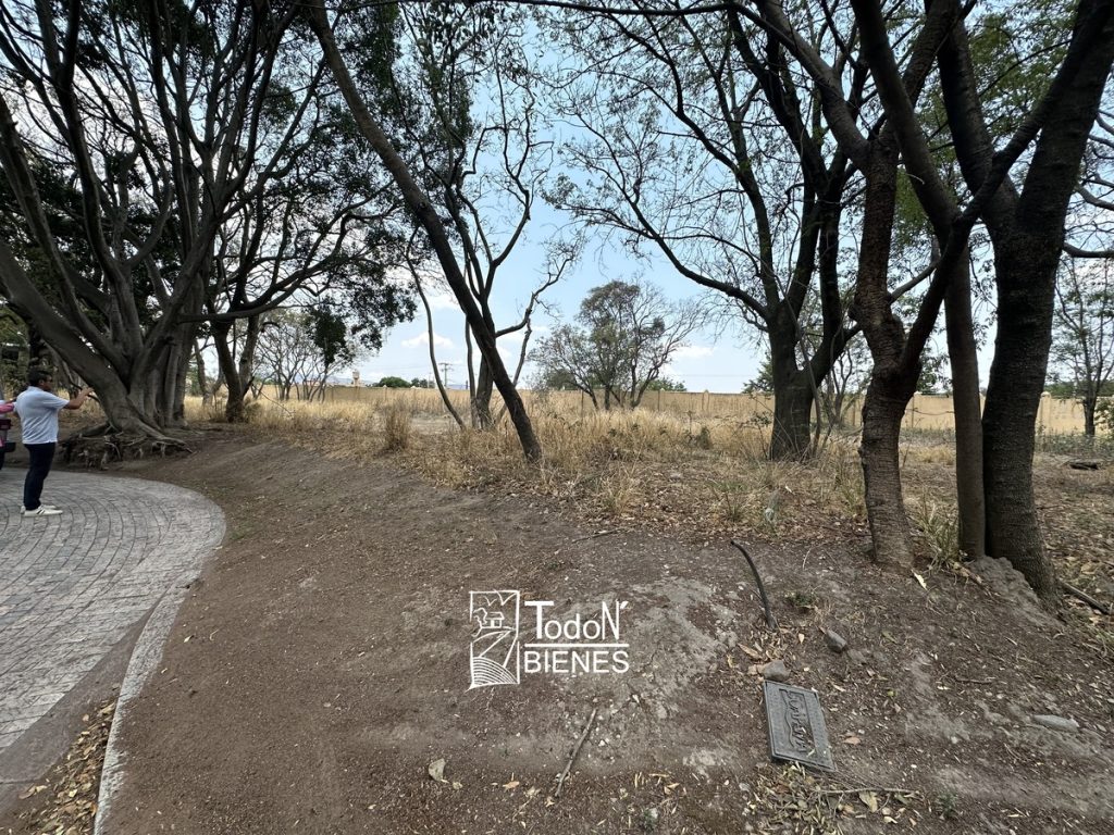 TERRENO VENTA EL CARMEN ATLIXCO puebla
