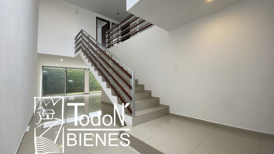video image