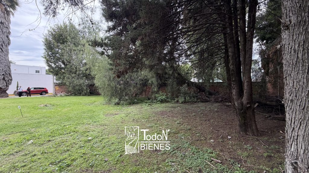 TERRENO VENTA LA CONCEPCION 1era Cda Concepcion norte Puebla
